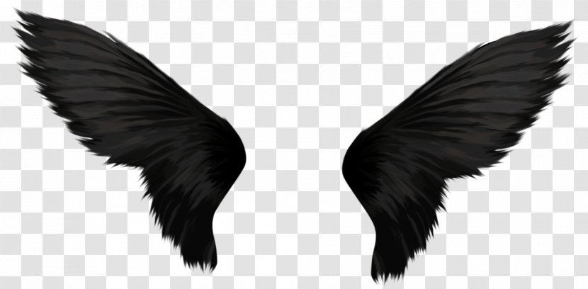 Black And White Desktop Wallpaper Photography - Wings Transparent PNG