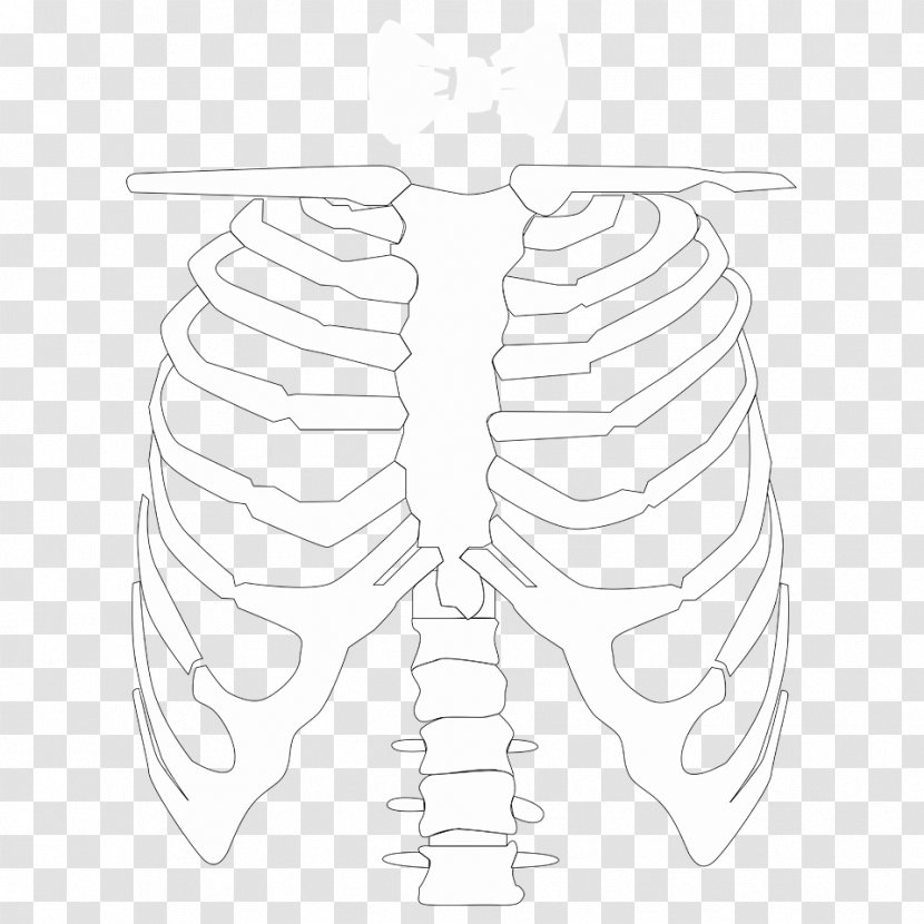 Finger Bone Skeleton Human Leg Muscle - Heart - Mucha Transparent PNG