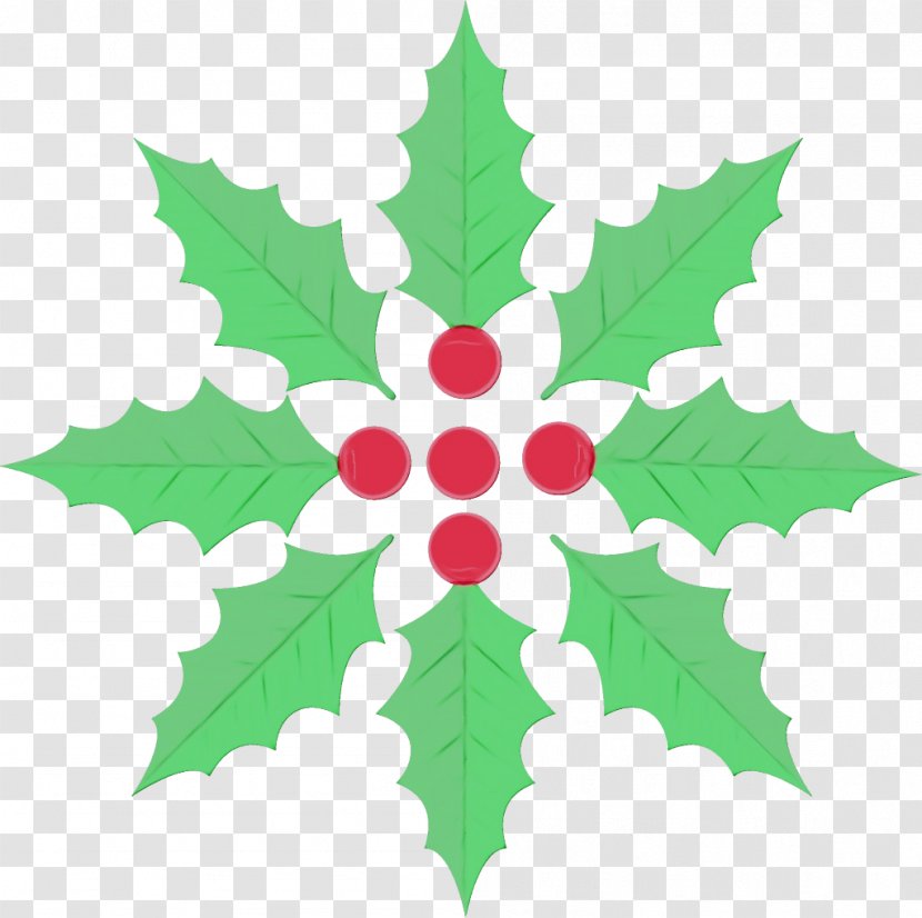 Holly - Symmetry - Plane Transparent PNG