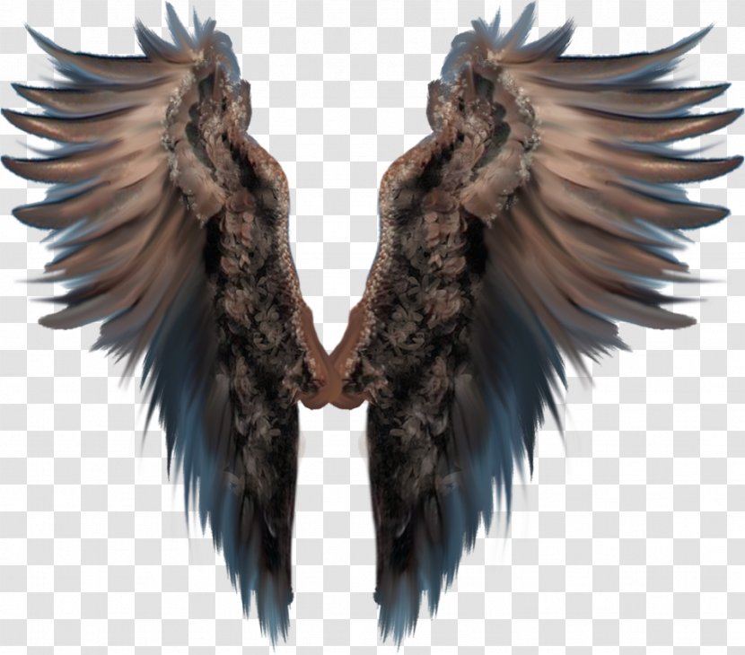 Bird Wing Royalty-free Transparent PNG