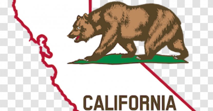 Supreme Court Of California Law Plaintiff State Legislature - Carnivoran - Governor Transparent PNG