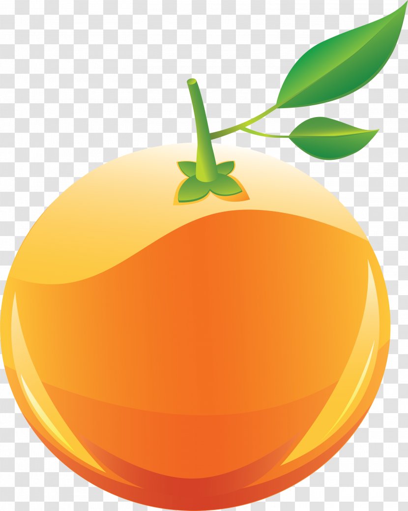 Orange Fruit Clip Art - Citrus - 2 Clipart Transparent PNG