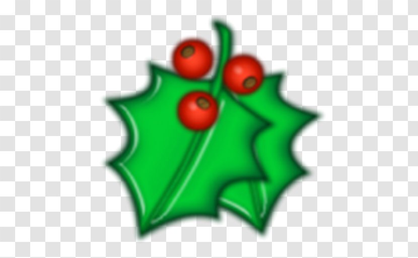 Mistletoe Holly Christmas Transparent PNG