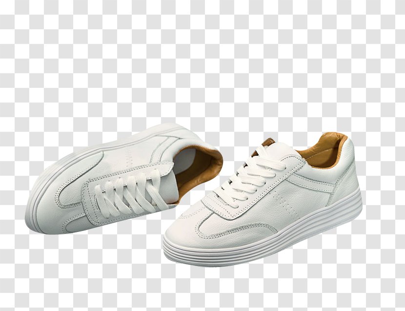 Skate Shoe Sneakers Footwear - Canvas - Wild White Shoes Sports Material Transparent PNG