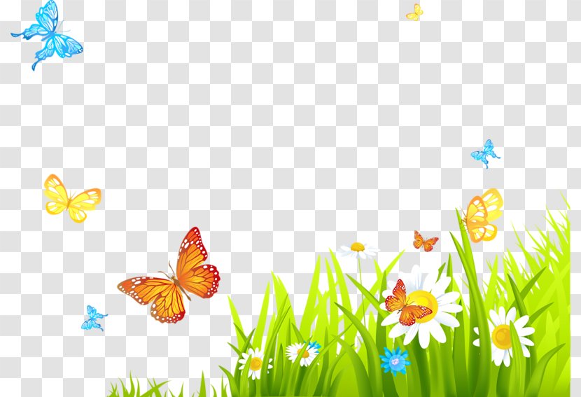Desktop Wallpaper Easter Drawing - Butterfly - Flowering Plant Transparent PNG