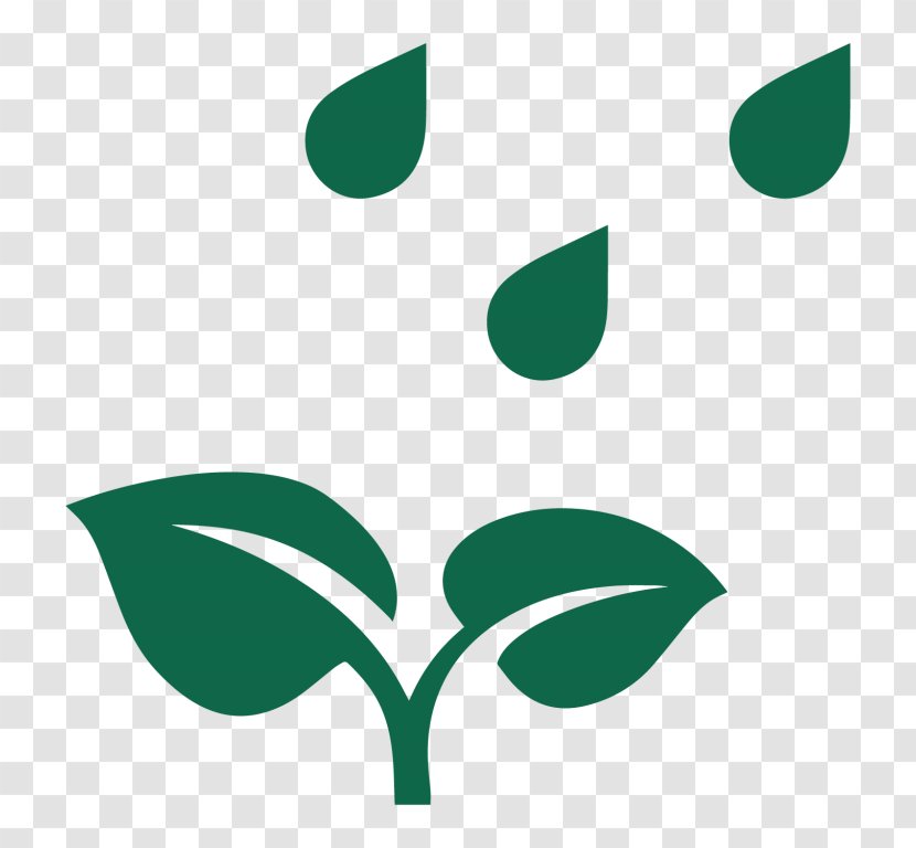 Plant Rain - Water Transparent PNG