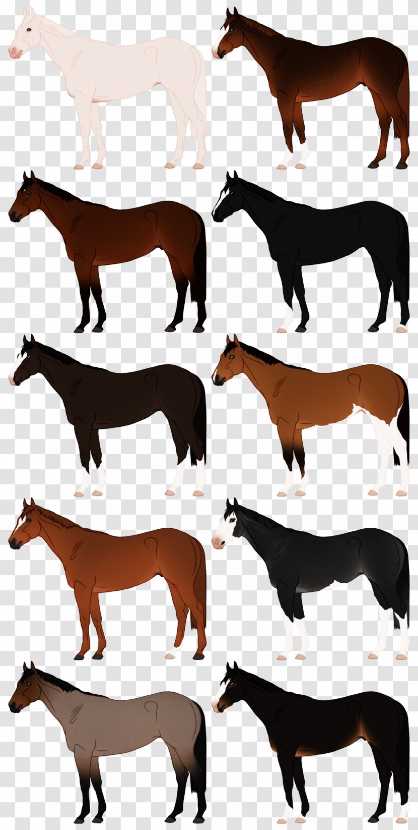 Mule Painting Mustang Donkey Blog - Horse Tack Transparent PNG