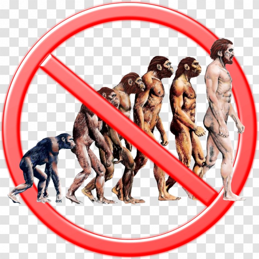 Why Evolution Is True Human Science Ape - Biologist Transparent PNG