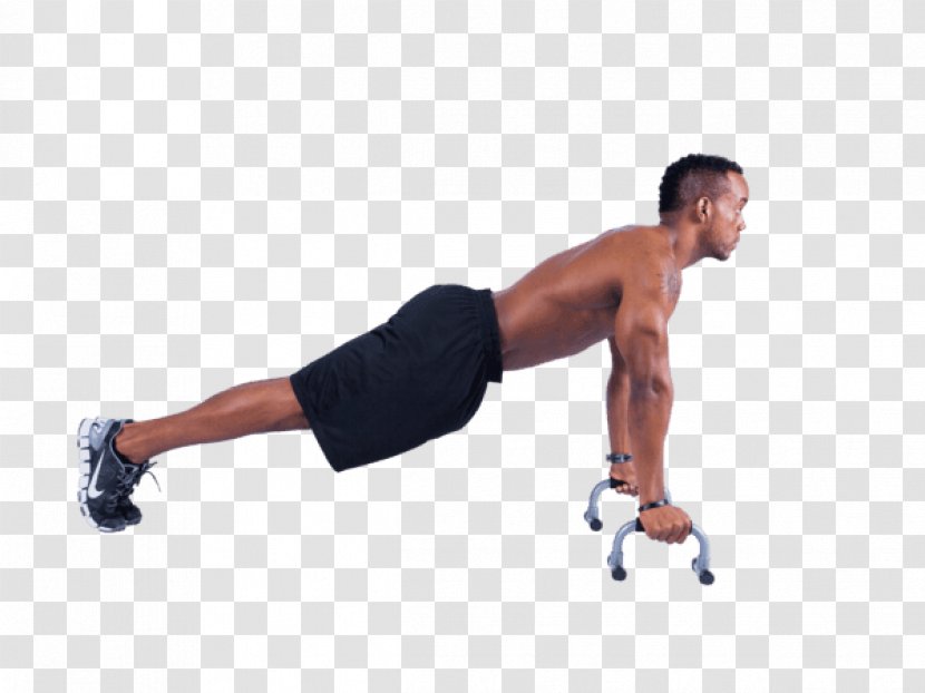 Push-up Weight Training Dip Physical Fitness Exercise - Cartoon - Barbell Transparent PNG