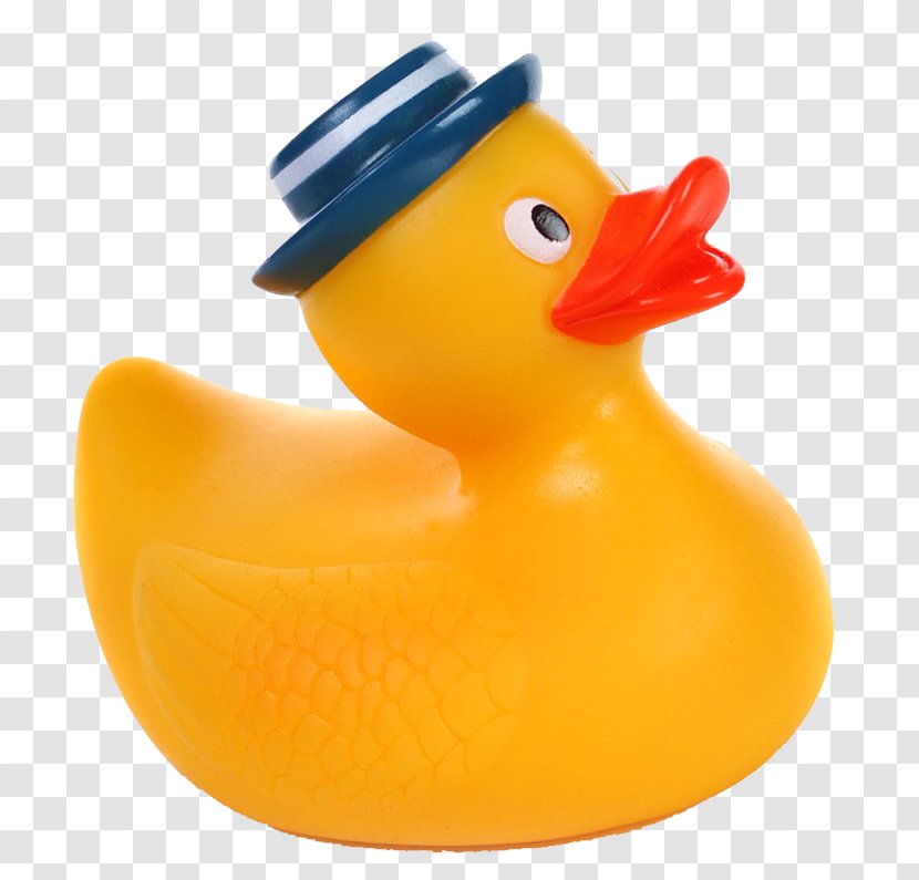 Rubber Duck Natural Clip Art - Beak Transparent PNG