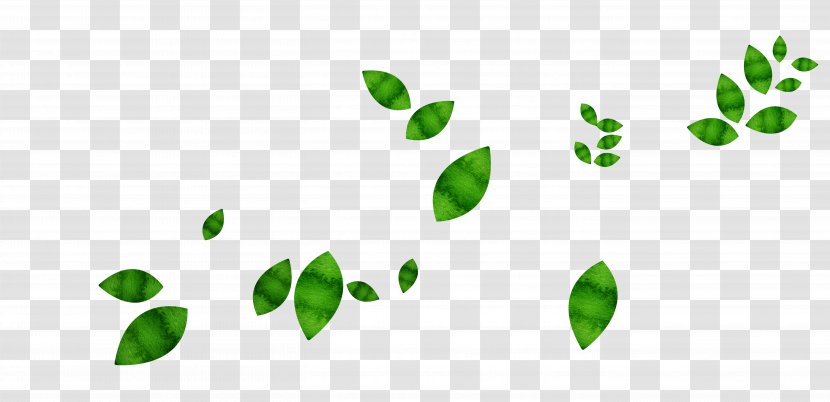 Leaf Green - Floating Leaves Transparent PNG
