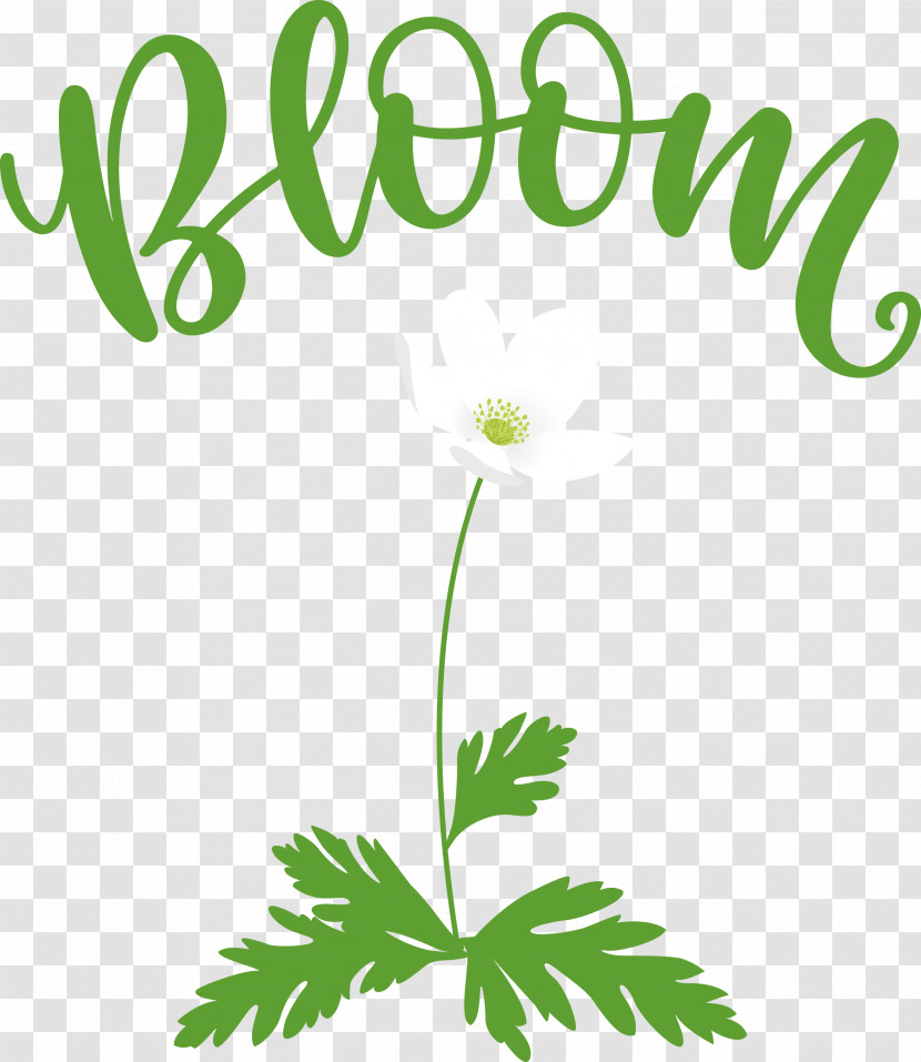 Bloom Spring Flower Transparent PNG