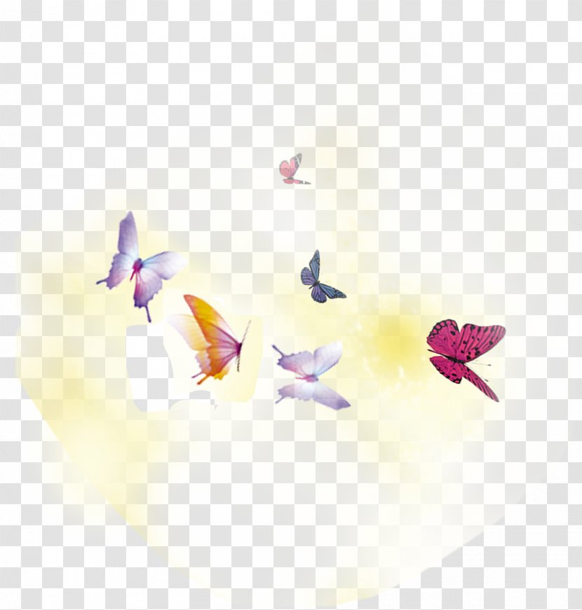 Butterfly Spring - Triangle Transparent PNG