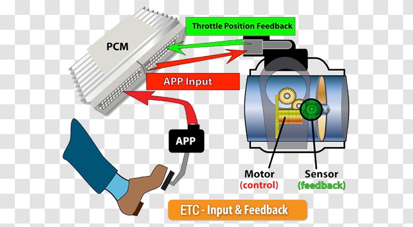 Light Electronic Throttle Control Toyota Actuator - Brand - Unit Transparent PNG