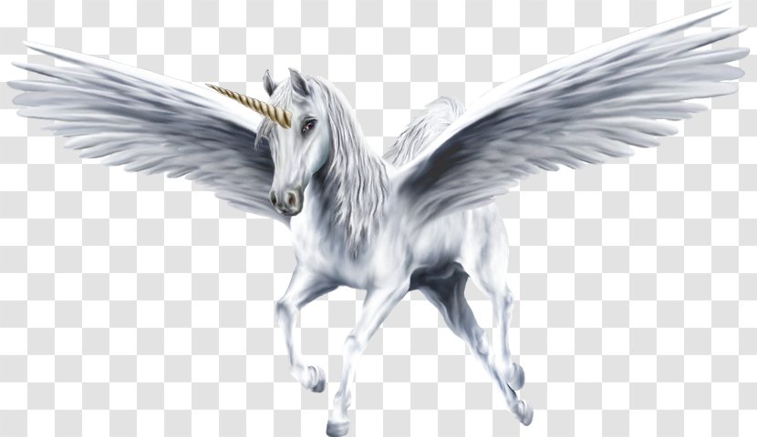 Flying Horses Pegasus Winged Unicorn - Horse Transparent PNG