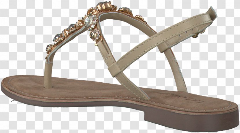 Sandal Shoe Footwear Leather Slingback Transparent PNG