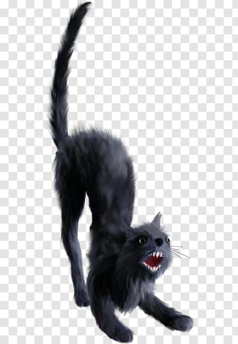 Black Cat Clip Art - Tail Transparent PNG