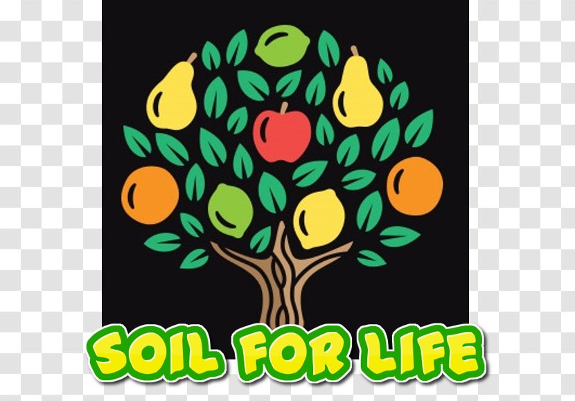 Logo Fruit Tree Idea - Brand - Design Transparent PNG