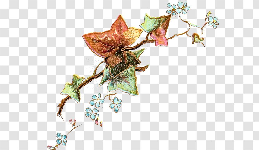 Ivy - Flower - Origami Transparent PNG