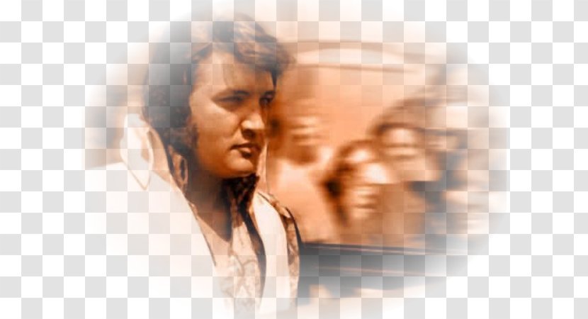Eyebrow Forehead Elvis Presley Human Behavior Long Hair - Cartoon Transparent PNG