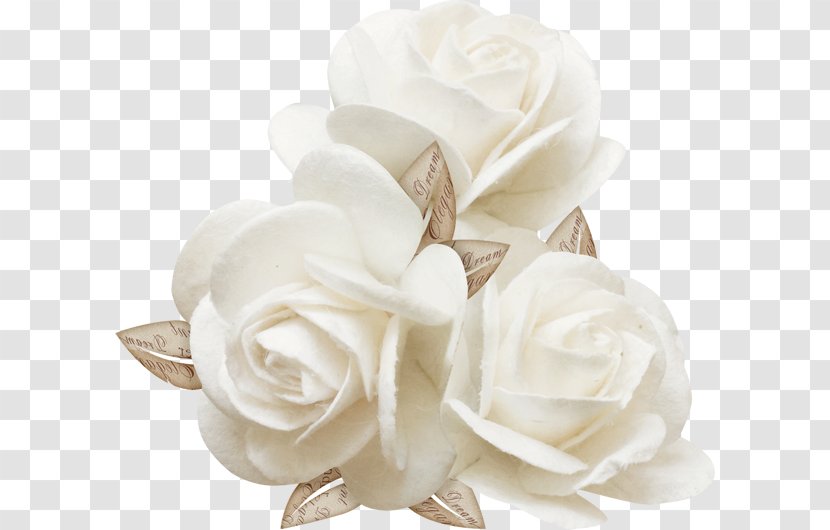 Clip Art - Gardenia - Sen Department Of Wedding Transparent PNG