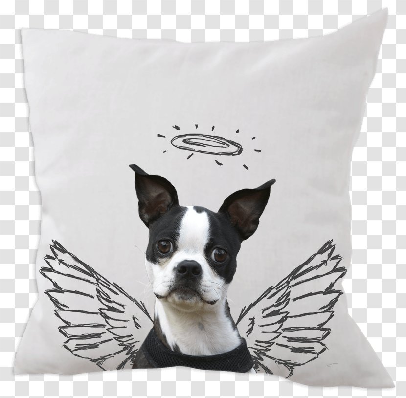 Pug Pillow Dog Breed Pet Cat - Throw Transparent PNG