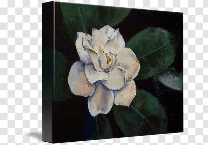 Still Life Canvas Print Oil Painting - Petal Transparent PNG