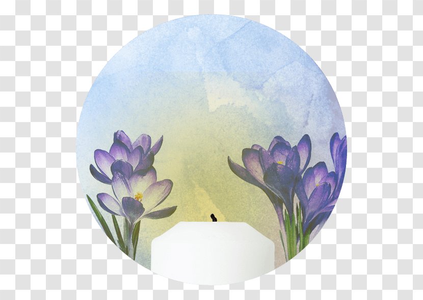 Blume Depositphotos Royalty-free Crocus Stock Photography - Royalty Payment - Spittal An Der Drau District Transparent PNG