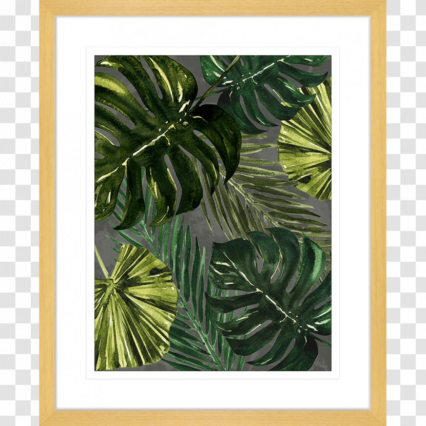 Picture Frames Film Frame Photography Desktop Wallpaper - Leaf - Monstera Transparent PNG