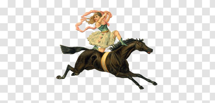Horse Pony Equestrian Circus Clip Art - Victorian Transparent PNG