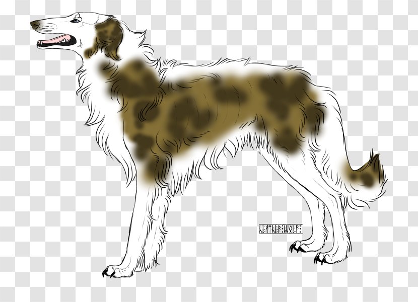 Silken Windhound Borzoi Saluki Dog Breed Rare (dog) - Like Mammal - Russia Castle Transparent PNG