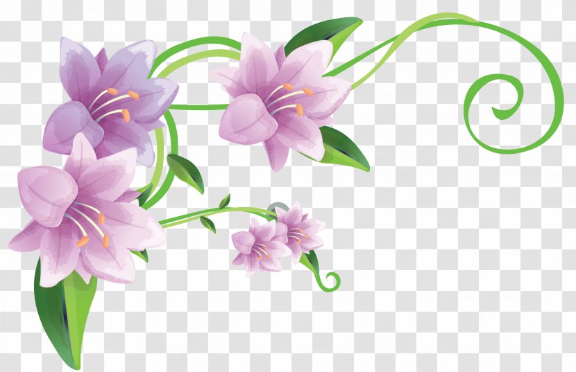 Lilium Motif - Floral Design - Hand-painted Lily Transparent PNG