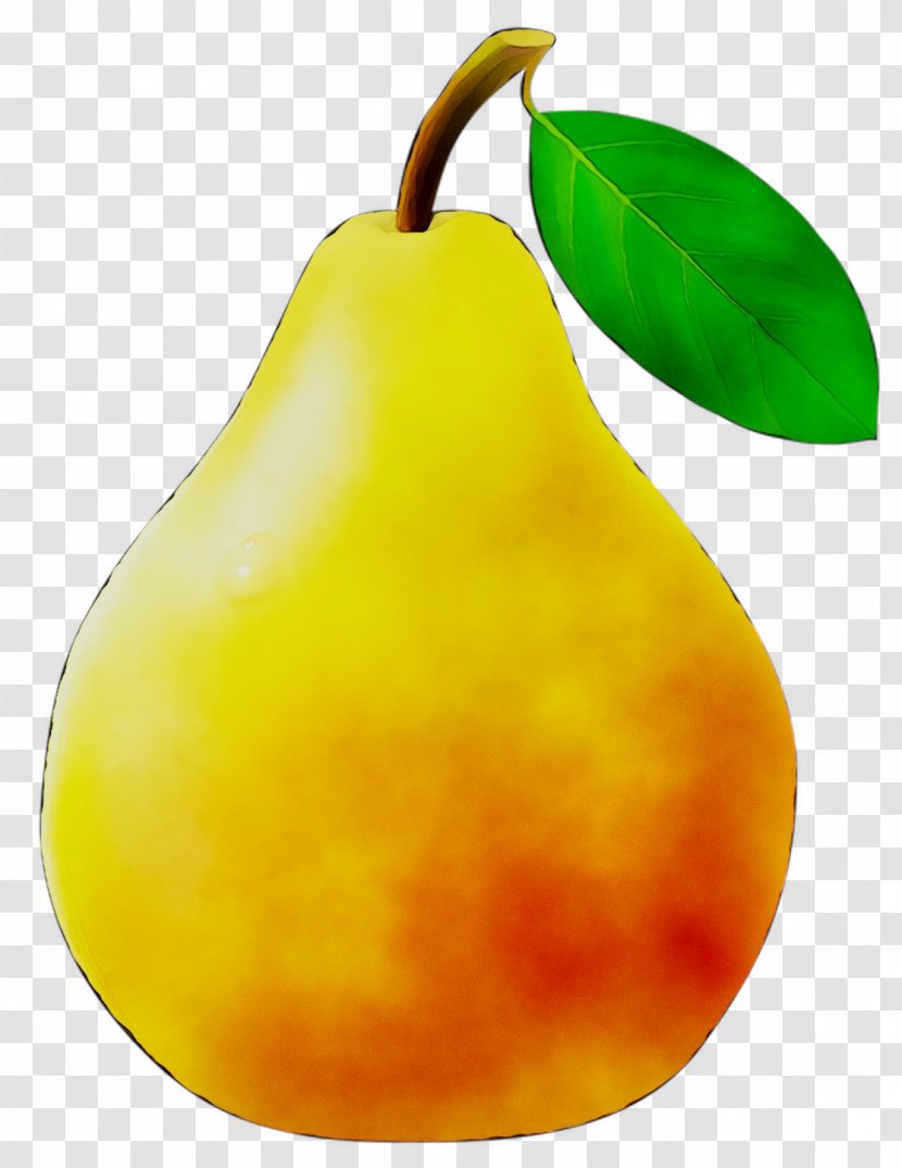 Pear Still Life Photography Fahrenheit - Fruit Tree Transparent PNG