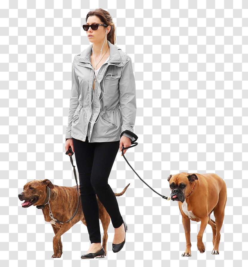 Dog Architecture Architectural Rendering - Cat People And - Dogs Transparent PNG