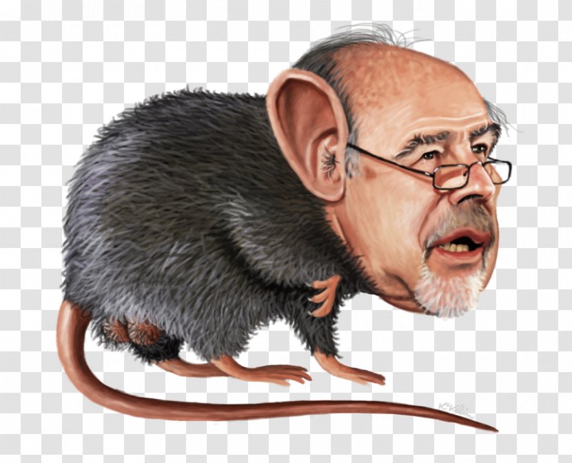 Ramón Rato Caricature Male Wererat - Muroidea - Rat Transparent PNG