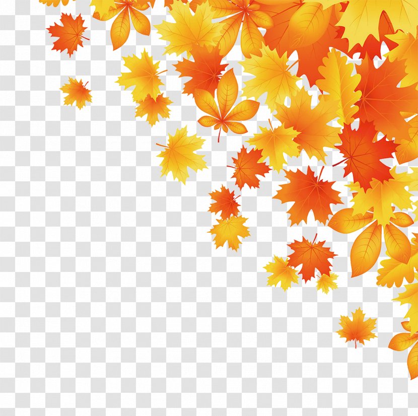 Maple Leaf Autumn Leaves - Statement Of Assets Liabilities And Net Worth - Decoration Transparent PNG