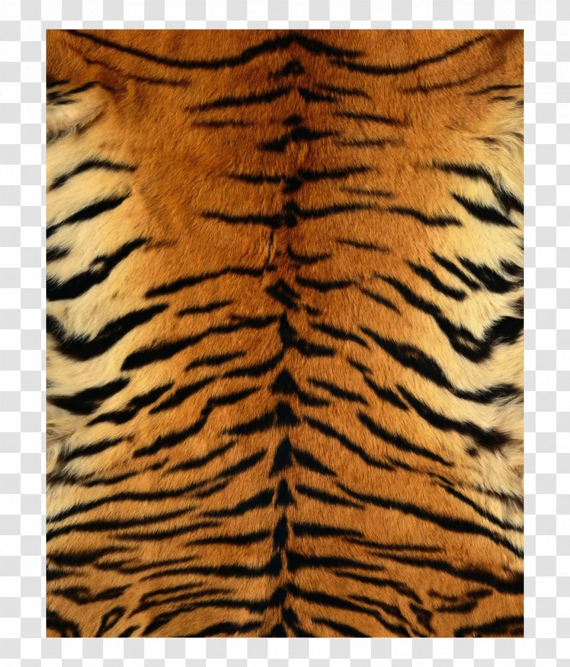 Tigerfell IPhone 7 - Skin - Tiger Texture Map Transparent PNG