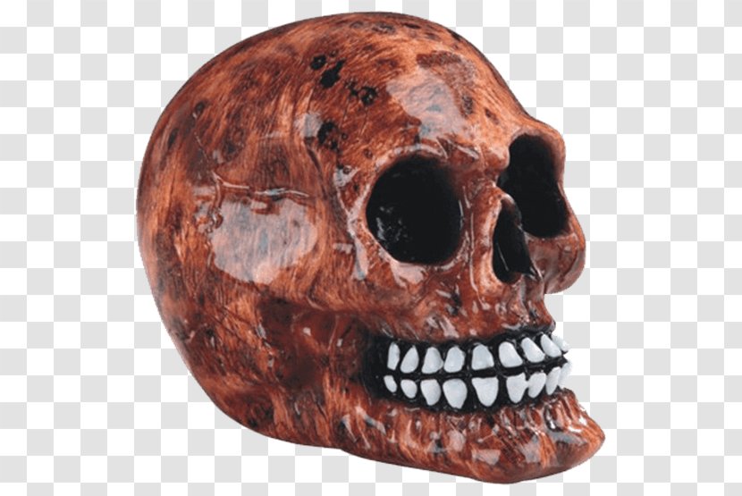 Skull Bone Human Skeleton Head - Jaw - Flame Transparent PNG