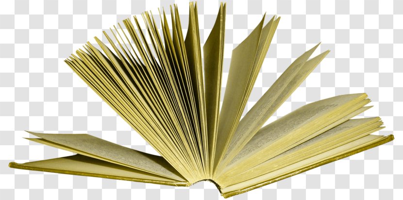 Paper - Opened Books Transparent PNG