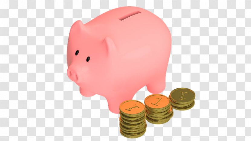 Piggy Bank - Money - Cash Animal Figure Transparent PNG