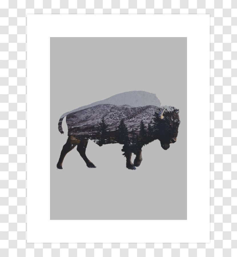 American Bison Art Museum Photography Painting - Table Transparent PNG