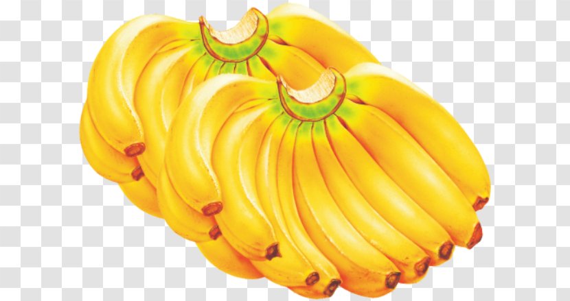 Banana Bread Cavendish Cooking Fruit - Herb Transparent PNG