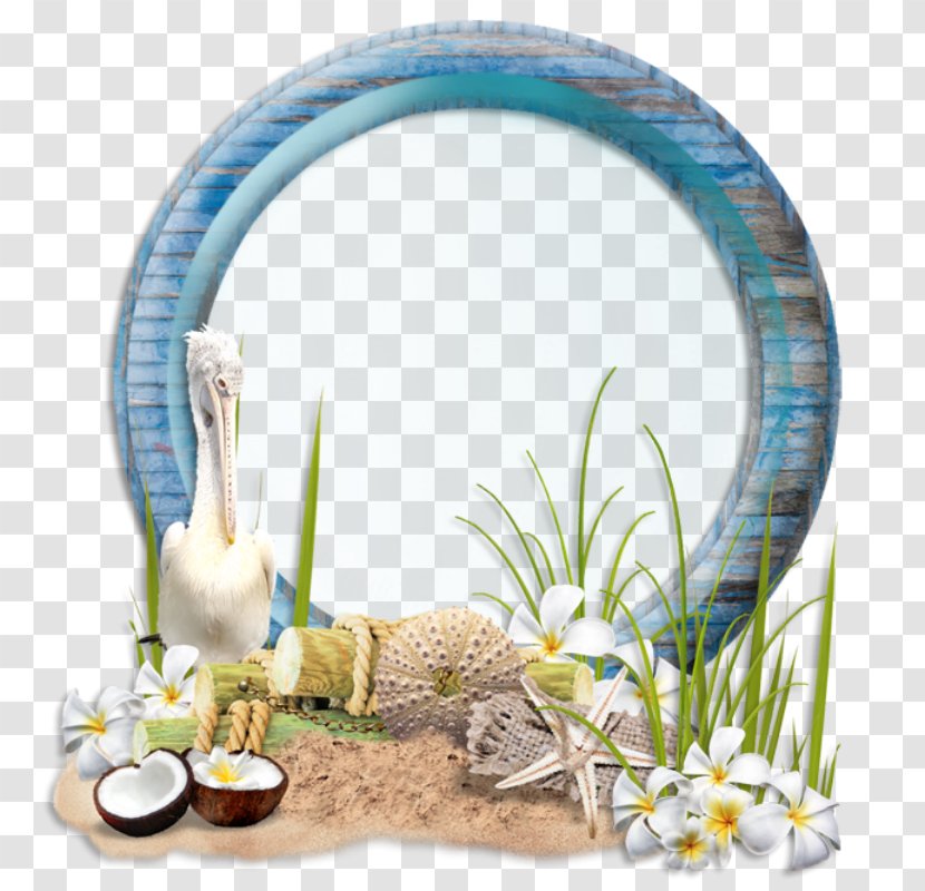 Image Coconut Picture Frames Design Desktop Wallpaper - Dishware - Marine Frame Summer Transparent PNG