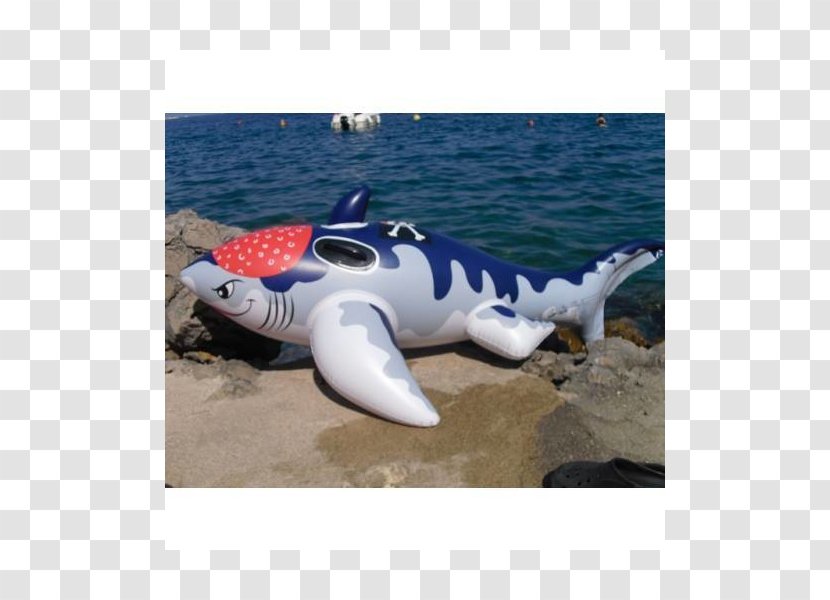 Shark Porpoise Cetacea Inflatable Dolphin Transparent PNG
