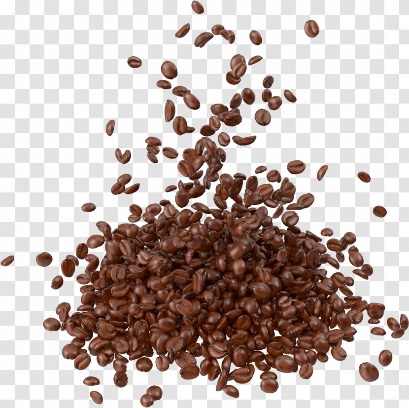 Coffee Bean Espresso Cafe - Mocha - Jelly Beans Transparent PNG