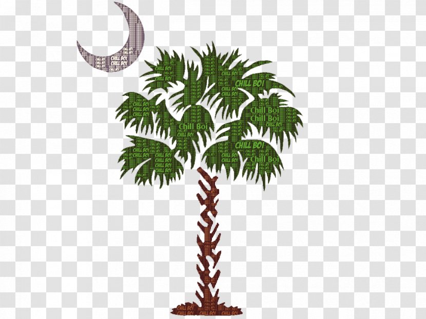 Sabal Palm Myrtle Beach Trees Decal Charleston - Woody Plant Transparent PNG