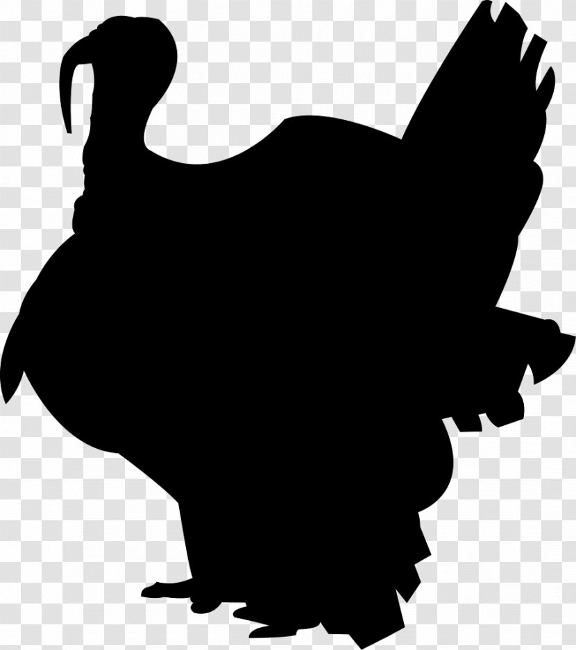 Broad Breasted White Turkey Black Meat - Bird - Silhouette Transparent PNG