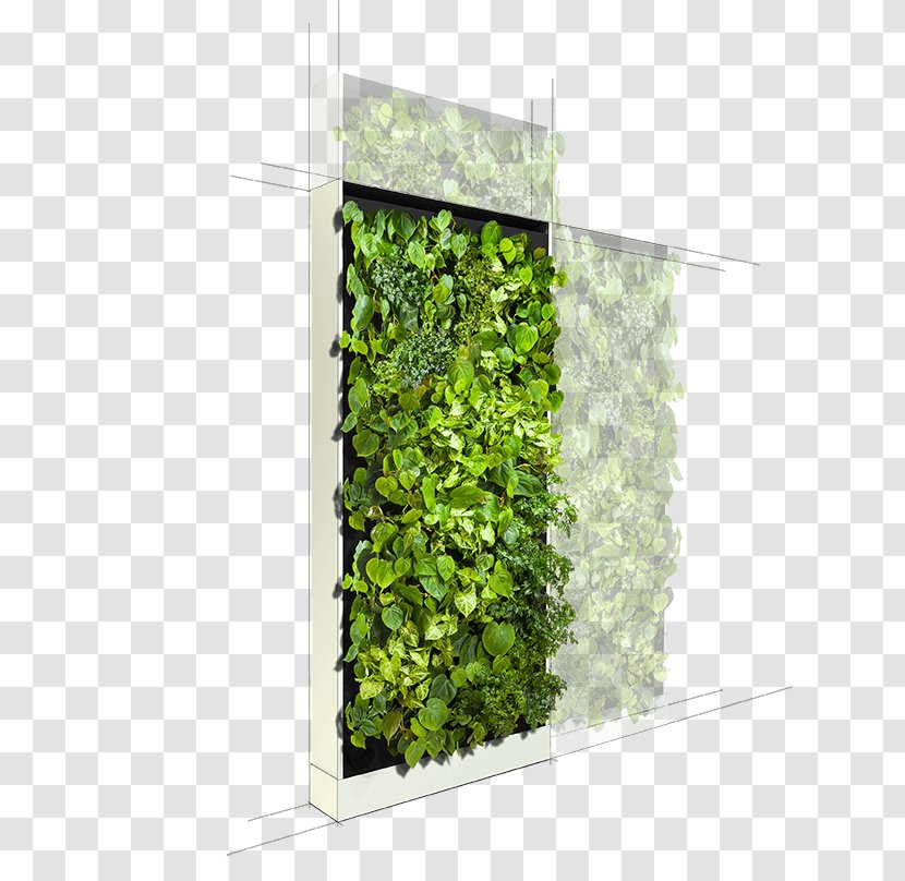 Image Net Haus Wall Plug 2 Fibaro FGWPE-102 Netzwerk Leaf - Hedge - Sen Transparent PNG