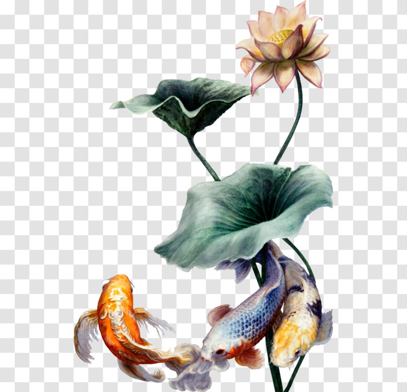 Flowers Background - Anthurium - Plant Transparent PNG