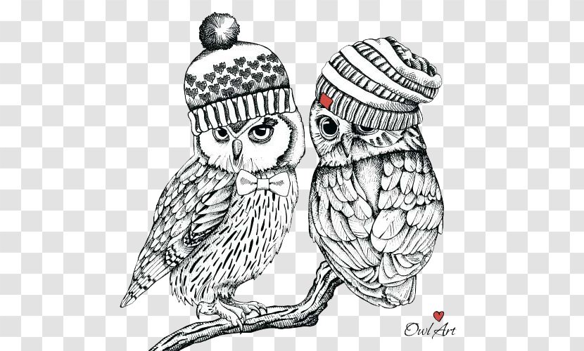 Little Owl Bird Illustration - Heart - Dai Transparent PNG
